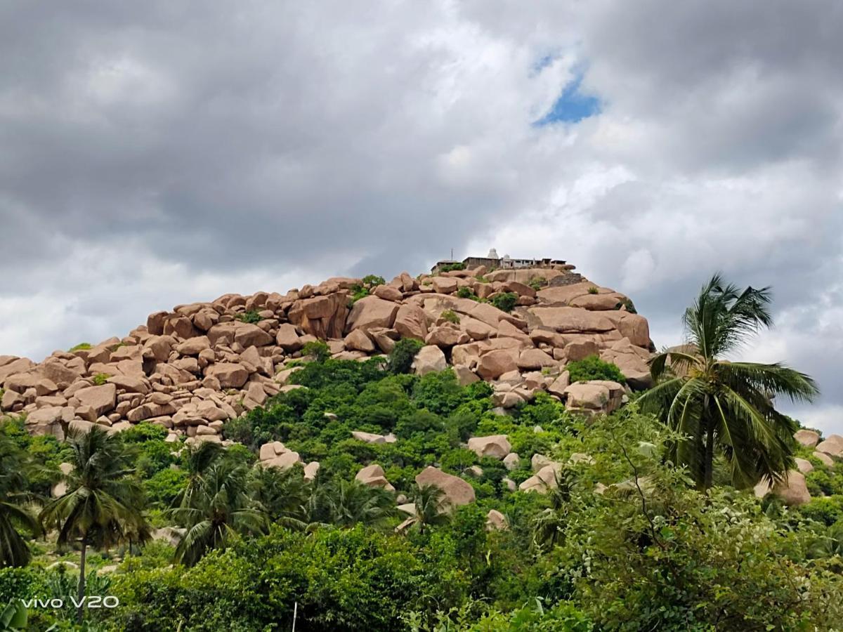 Srinivasa Homestay Hampi Exterior foto